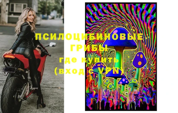 гашик Баксан