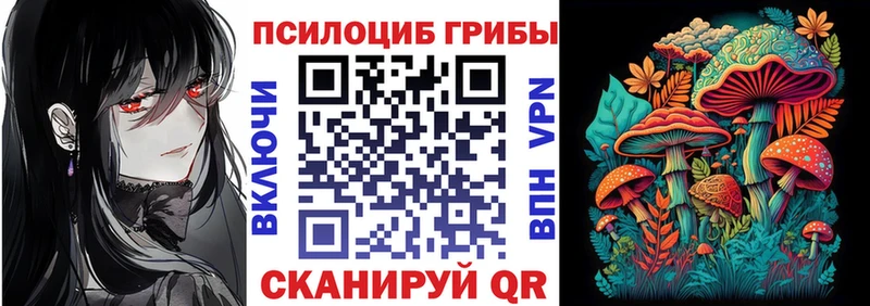Псилоцибиновые грибы Psilocybe  где купить наркоту  Белёв 